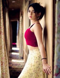 escort service in Hoshiarpur