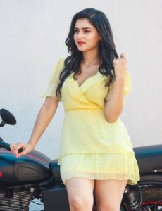Hoshiarpur call girls